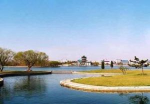 河口沖積島 河口沖積島