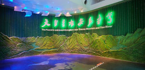 安吉生態博物館館內陳列