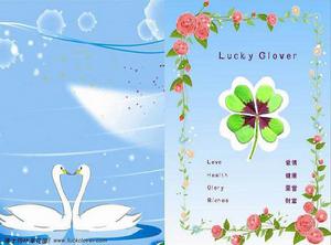 四葉草標本 賀卡