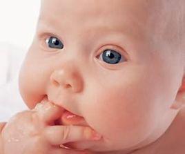 吮吸手指 吮吸手指