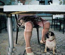 走狗[漢語辭彙]