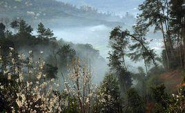 蒲江縣櫻桃山風景區 蒲江縣櫻桃山風景區