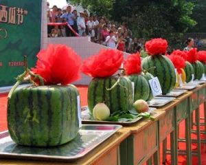 西瓜節 西瓜節