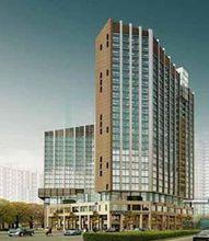 信達&middot;西山銀杏