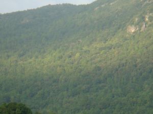 馬路社自然村 馬路社自然村