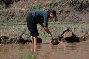 《緝毒警》 劇照