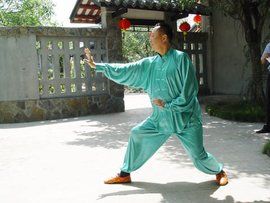 龍形拳 龍形拳