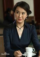 媳婦的美好時代[2009年劉江執導電視劇]