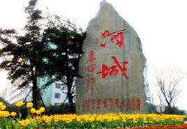 中國酒城 中國酒城