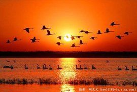 東營河口 東營河口