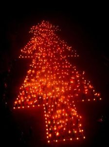 人體聖誕樹 人體聖誕樹