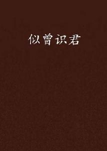 似曾識君 似曾識君