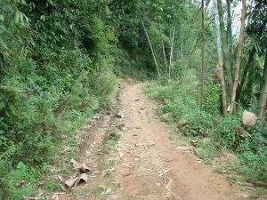 上南英村 上南英村