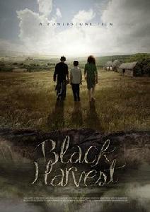 黑色收成 黑色收成