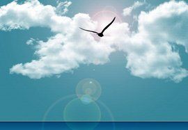 殊死拼搏 殊死拼搏