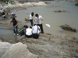 資源調查 資源調查