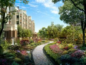 旭輝御錦 旭輝御錦