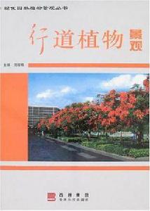 行道植物景觀 行道植物景觀