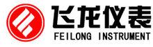 飛龍儀表LOGO