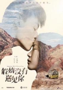 假如沒有遇見你[2018年楊龍執導電視劇]