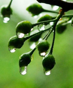 時節[漢語辭彙]