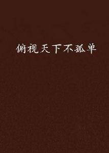 俯視天下不孤單 俯視天下不孤單