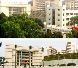 中山大學理工學院 中山大學理工學院