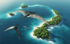 翼龍海灘 翼龍海灘