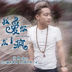 我愛你發了瘋 我愛你發了瘋