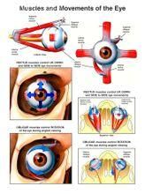 運動障礙 運動障礙