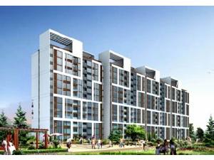 湛江水木清華 湛江水木清華