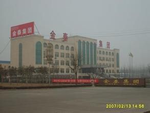 山東金泰集團 山東金泰集團