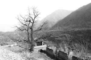 髽鬏山戰役 髽鬏山戰役