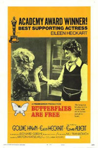 自由的蝴蝶 自由的蝴蝶