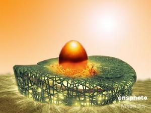 經濟收益 經濟收益