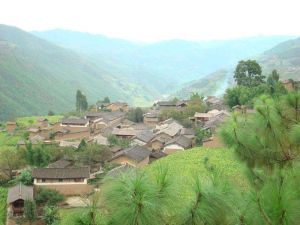 何家村自然村 何家村自然村