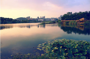 觀山湖公園 觀山湖公園
