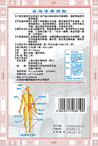 白馬寺痛消貼說明書