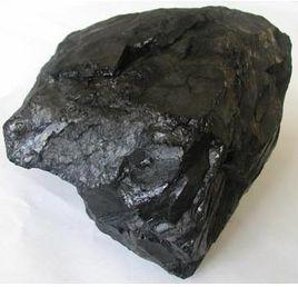煤[固體可燃有機岩]