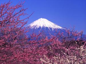 富士山的風景