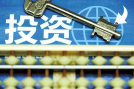 其他投資 其他投資