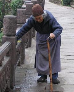 老態龍鍾 老態龍鍾