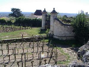 瑪德萊娜莊園 瑪德萊娜莊園