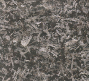 樹掛冰花 | Saint Iouis |