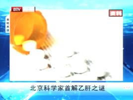 B肝受體 B肝受體