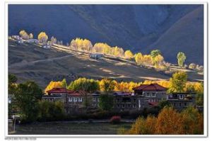 青堆子農場 青堆子農場