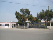 亭林中學 亭林中學