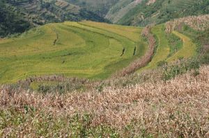 阿克渡大村 阿克渡大村