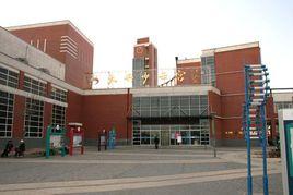 大興少年宮 大興少年宮