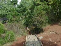 上茭道村 上茭道村